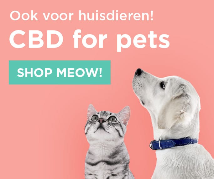 Cbd for pets shop meow.